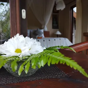  Bed & Breakfast Umah Indonesia